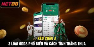 Kèo Châu Á - 3 Loại Odds Phổ Biến Và Cách Tính Thắng Thua