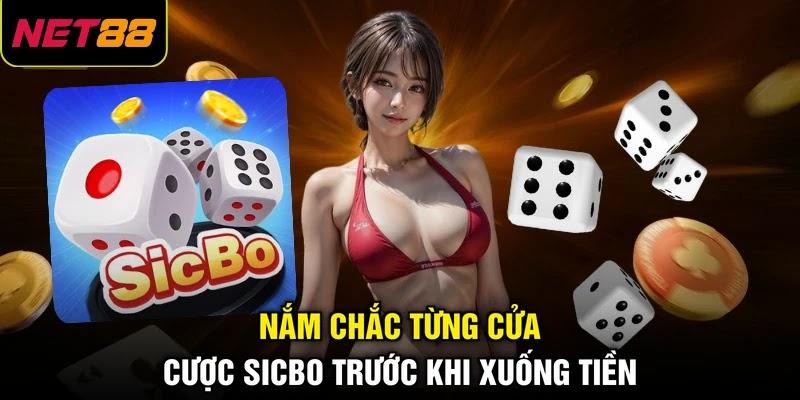 Nắm chắc từng cửa cược sicbo trước khi xuống tiền