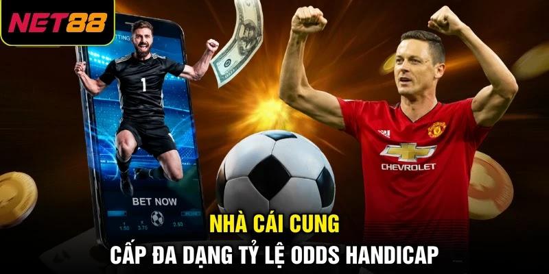 Nhà cái cung cấp đa dạng tỷ lệ odds handicap